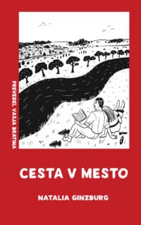 Cesta v mesto